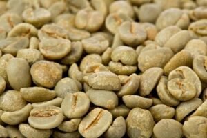 Role-of-Chlorogenic Acid-in-Weight-Loss 