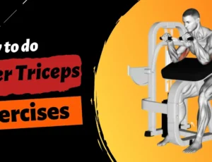 How-to-do-Lever-Triceps-Exercises