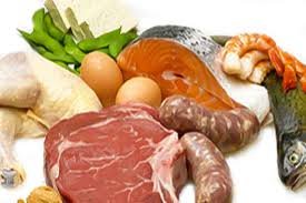protein-sources