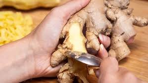 Ginger's Impact on Digestion and Nutrient Absorption