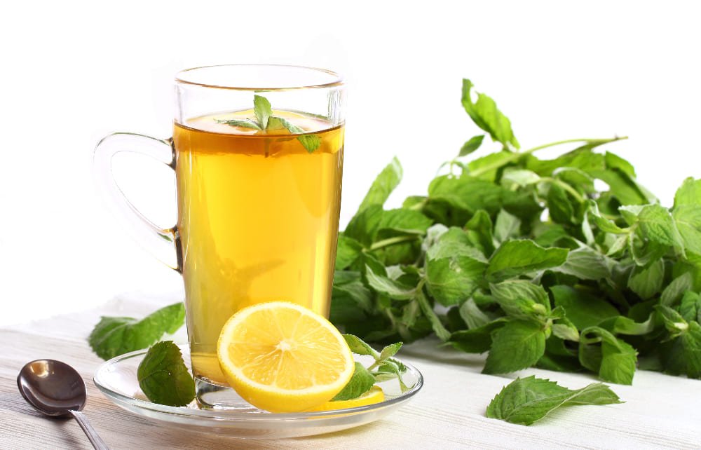 lemon balm tea